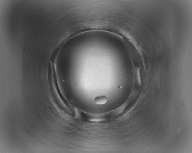 X0000071810201200606301235