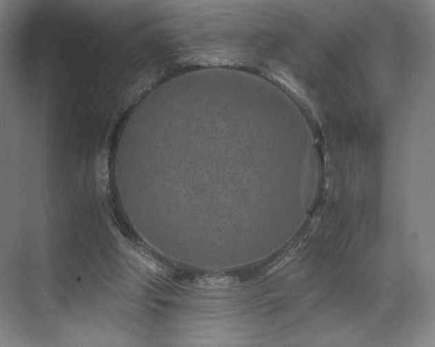 X0000071810202200606301235