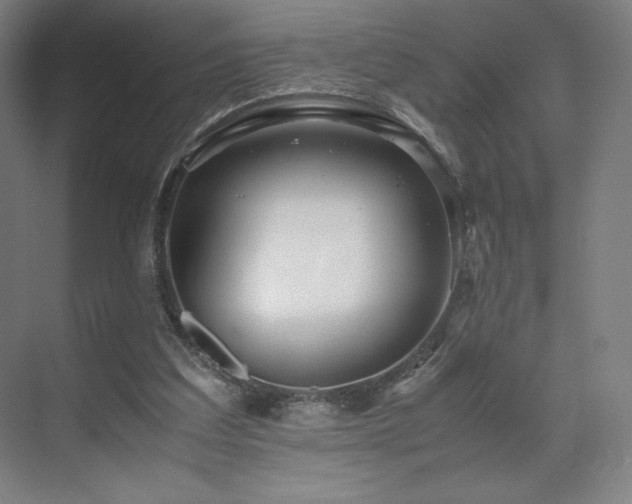 X0000071810203200606301235