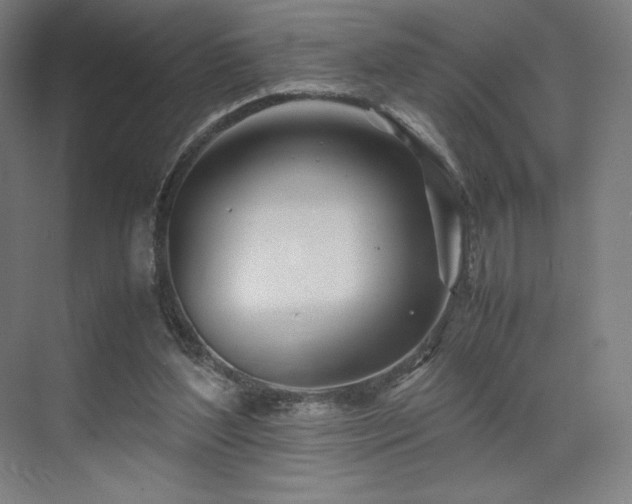 X0000071810204200606301235