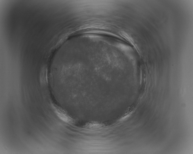 X0000071810205200606301235