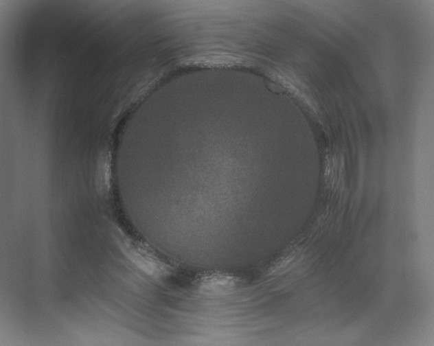 X0000071810206200606301235