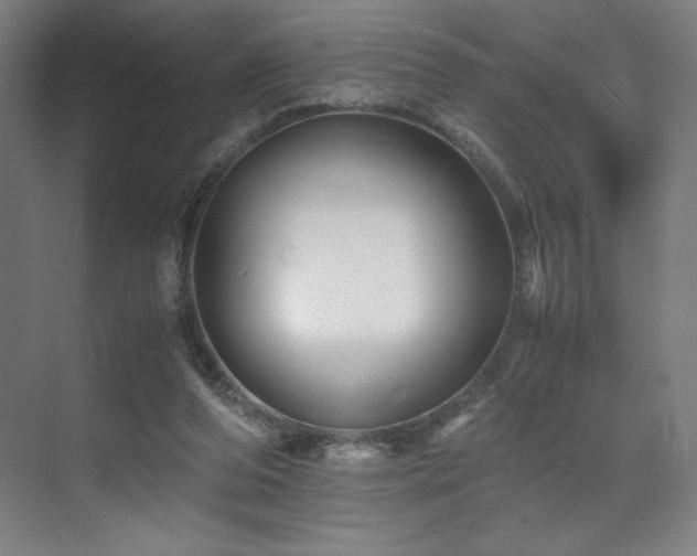 X0000071810208200606301235