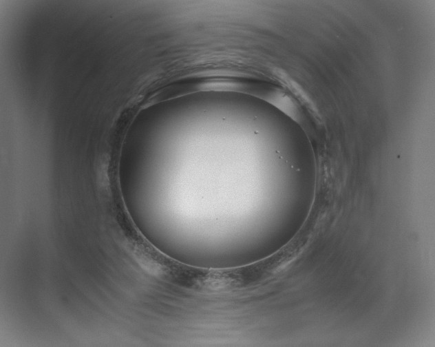 X0000071810209200606301235