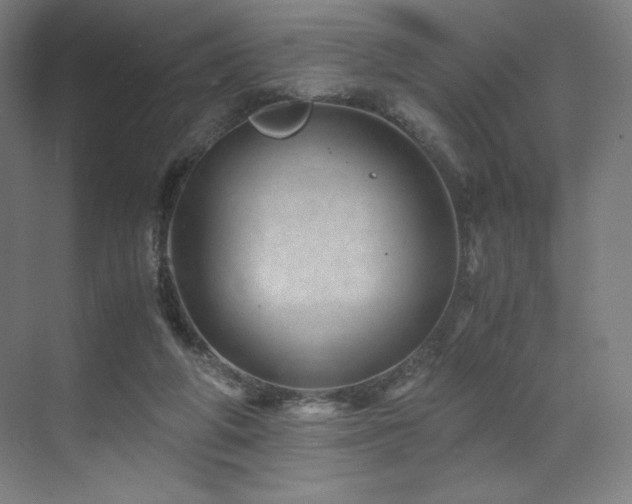 X0000071810210200606301235