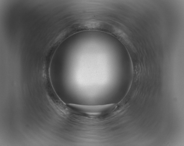 X0000071810212200606301235