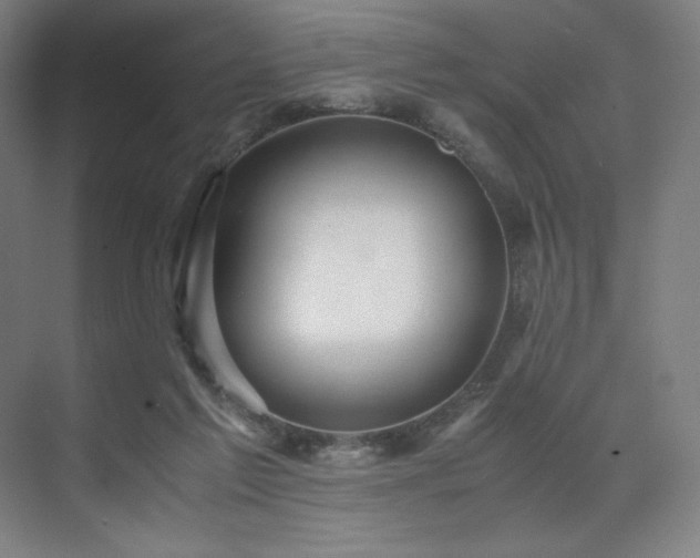 X0000071810213200606301235