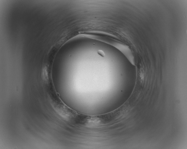 X0000071810214200606301235