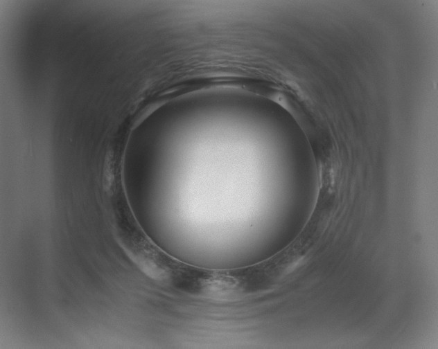 X0000071810215200606301235