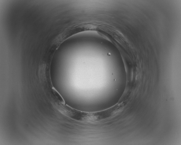 X0000071810217200606301235