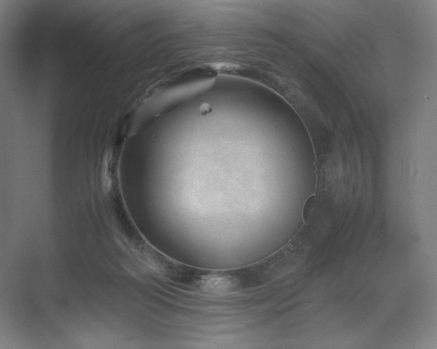 X0000071810218200606301235