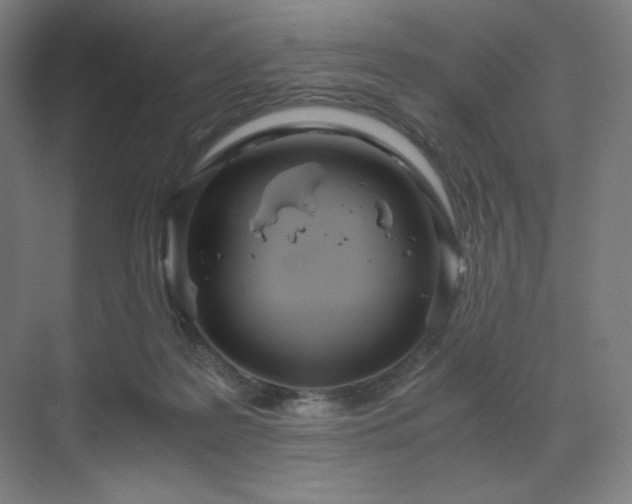 X0000071810219200606301235