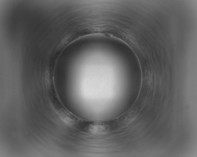 X0000071810220200606301235