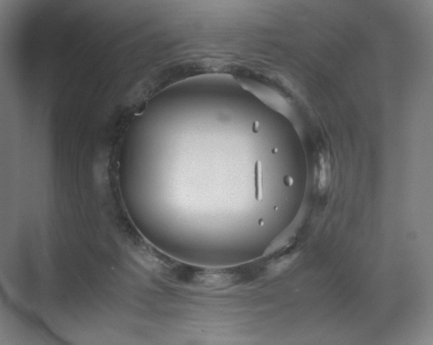 X0000071810221200606301235