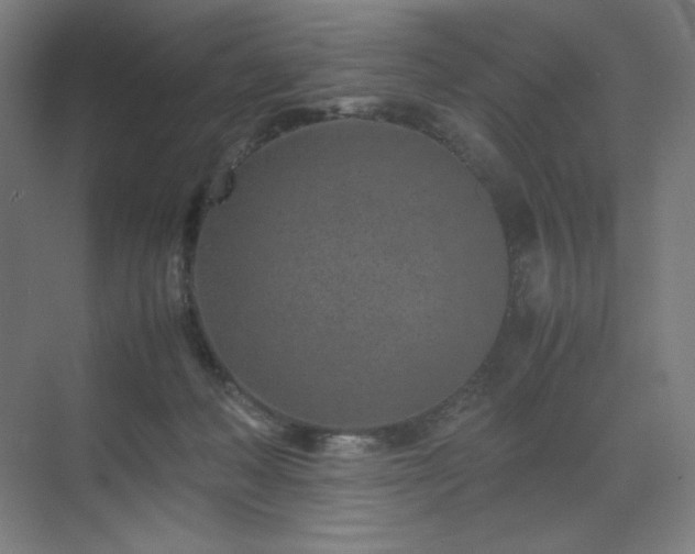 X0000071810222200606301235