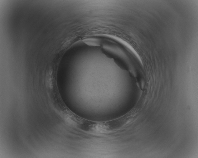 X0000071810223200606301235