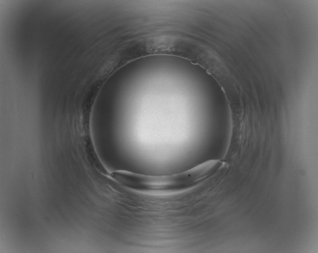 X0000071810224200606301235