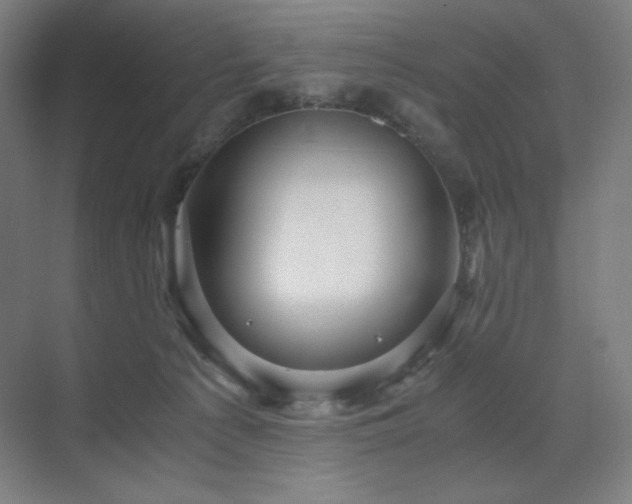 X0000071810225200606301235