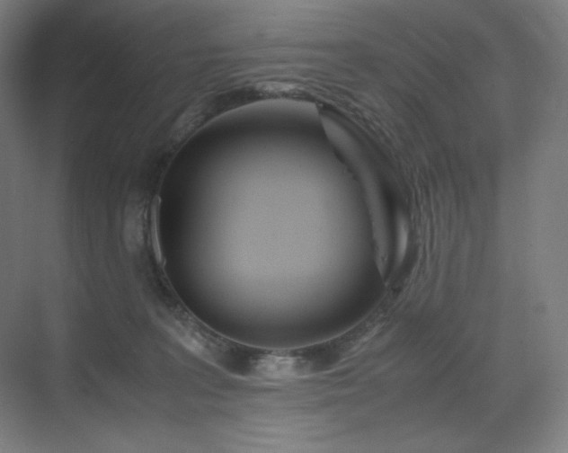 X0000071810227200606301235