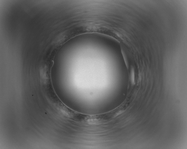 X0000071810228200606301235