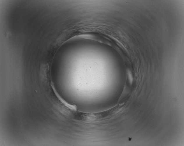 X0000071810229200606301235