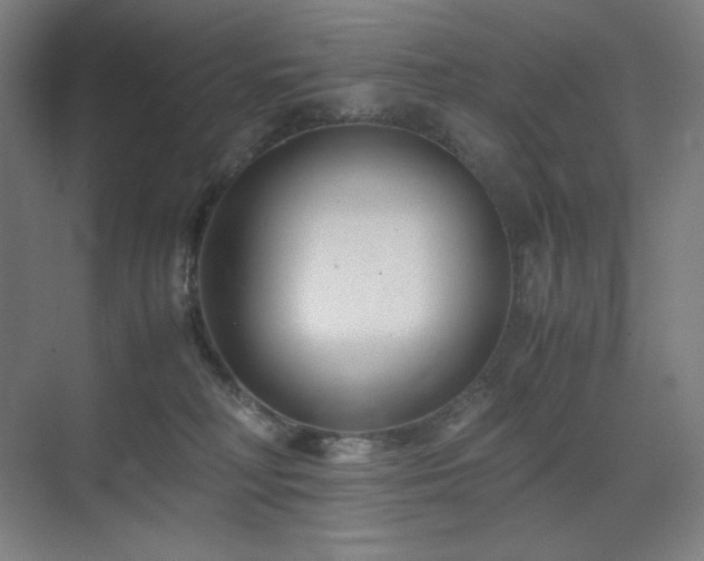 X0000071810230200606301235