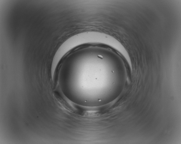 X0000071810231200606301235