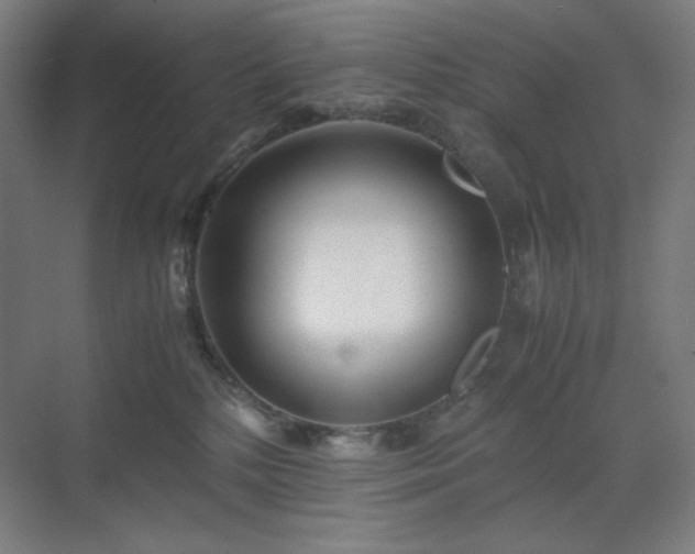 X0000071810232200606301235