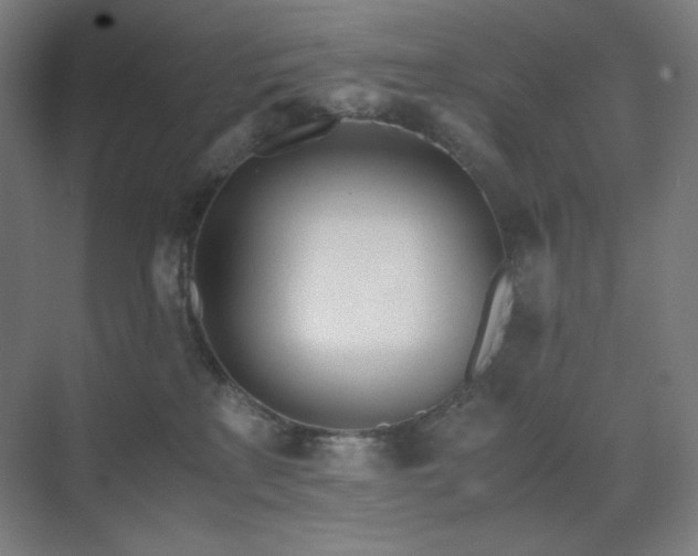 X0000071810233200606301235