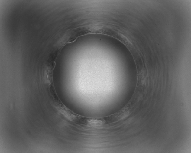 X0000071810234200606301235