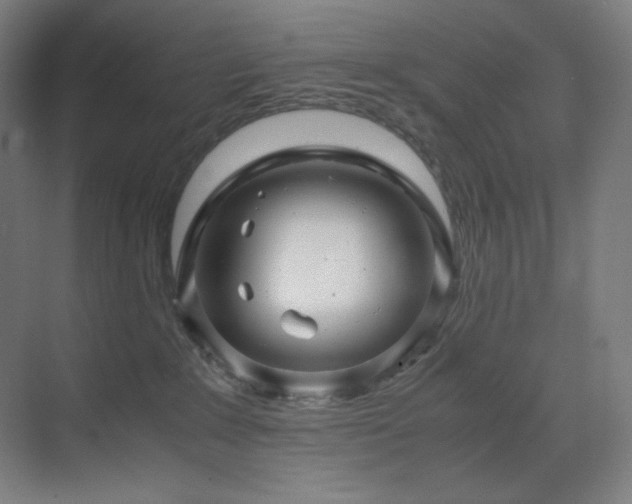 X0000071810235200606301235