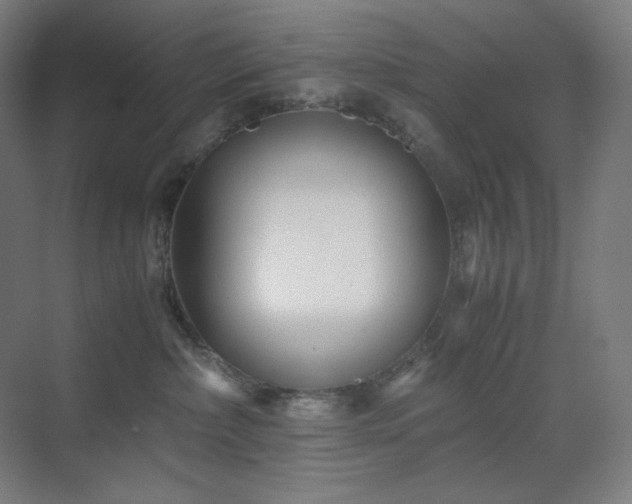 X0000071810236200606301235