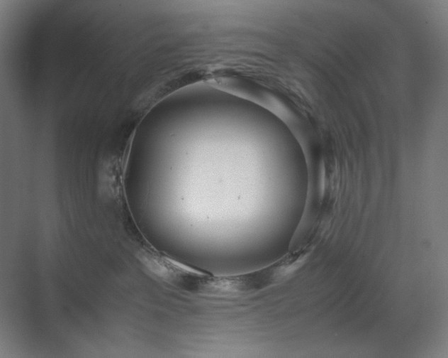 X0000071810237200606301235