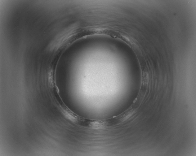 X0000071810238200606301235