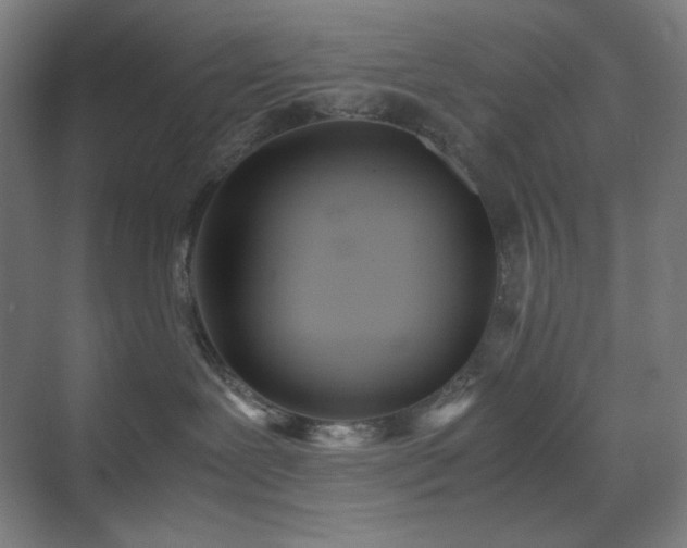 X0000071810239200606301235