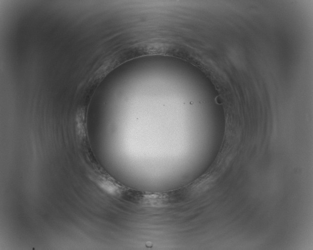 X0000071810240200606301235