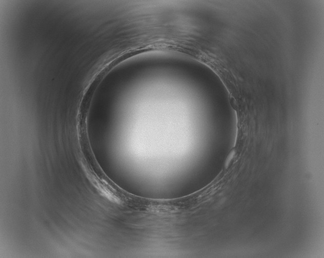 X0000071810242200606301234