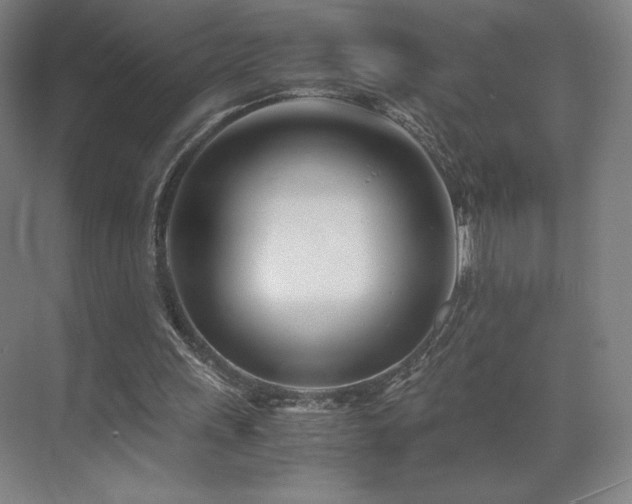 X0000071810243200606301234