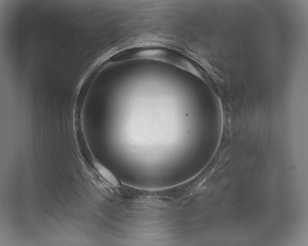 X0000071810244200606301234