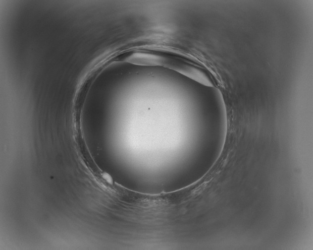 X0000071810245200606301234