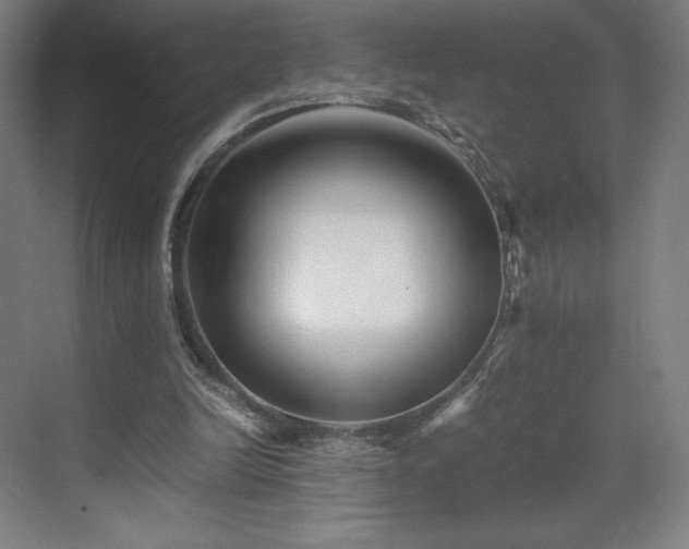 X0000071810246200606301234