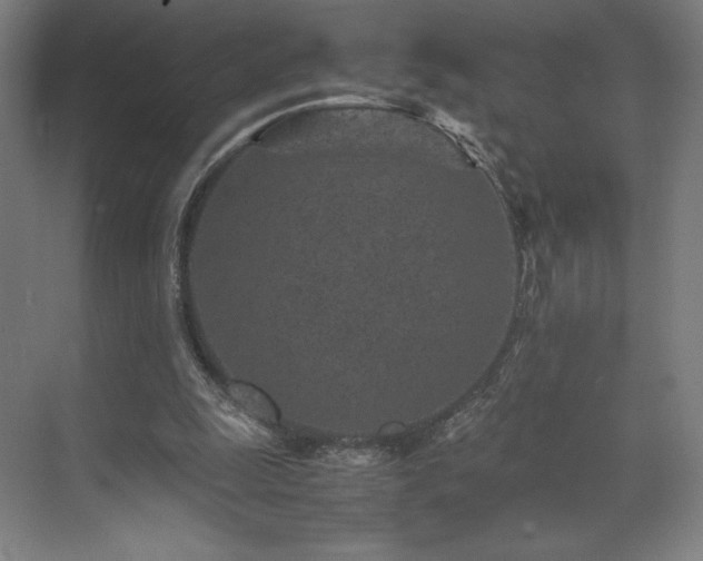 X0000071810247200606301234