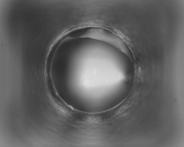 X0000071810248200606301234