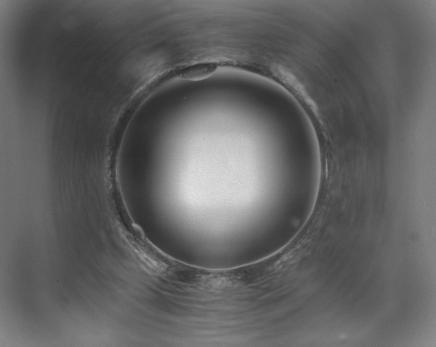 X0000071810249200606301234