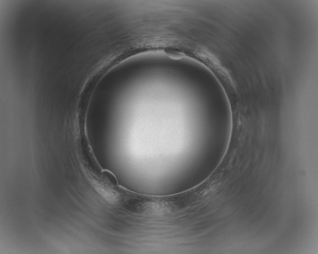 X0000071810250200606301234