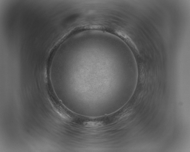 X0000071810251200606301234