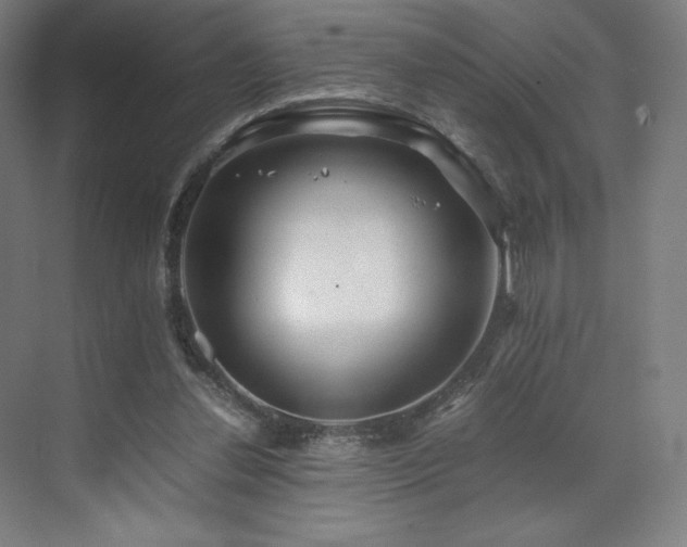 X0000071810252200606301234