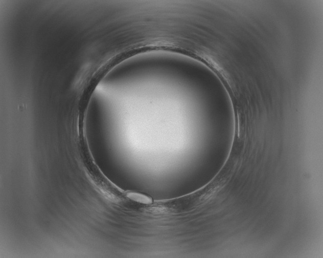 X0000071810253200606301234