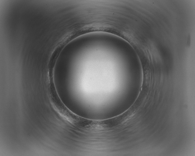 X0000071810254200606301234