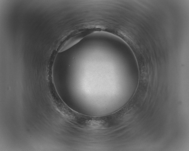 X0000071810255200606301234